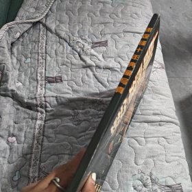 谢霆锋 十年典藏写真 有14张卡 附一张CD 大12开画册 品佳如图