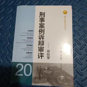 刑法分则实务丛书·刑事案例诉辩审评：盗窃罪