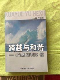 跨越与和谐:《与新区同行》续