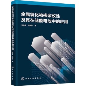 金属氧化物掺杂改性及其在储能电池中的应用 9787122440723 张永泉,迟庆国 化学工业出版社