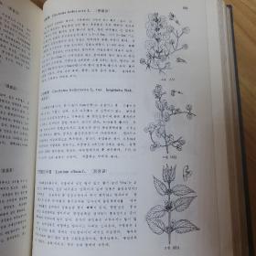 朝鲜植物图鉴 精装厚本朝文原版