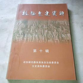 禄劝文史资料第十辑*