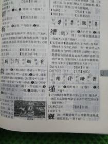 新华大字典