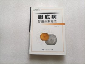 眼底病影像诊断图谱      精装本