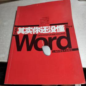 其实你还没懂Word