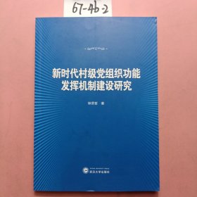 新时代村级党组织功能发挥机制建设研究