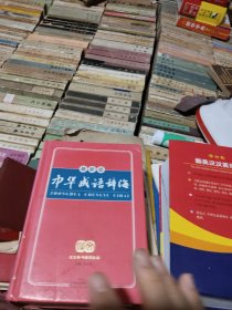 中华成语辞海（最新版）