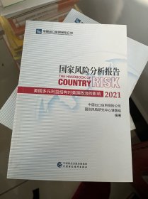 国家风险分析报告