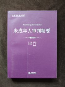 法官智库丛书（16）：未成年人审判精要.