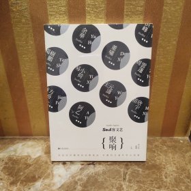 soul客文艺：聚响