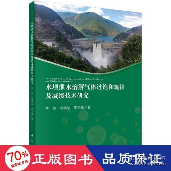 水坝泄水溶解气体过饱和规律及减缓技术研究