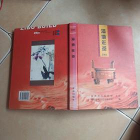 淄博年鉴   2003.......A19