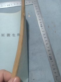 1974年沈阳医学院《抗病原微生物药物》药书教科书课本，16开 1974年沈阳医学院《抗病原微生物药物》药书教科书课本，16开