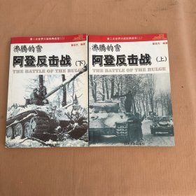 沸腾的雪-阿登反击战 上下册