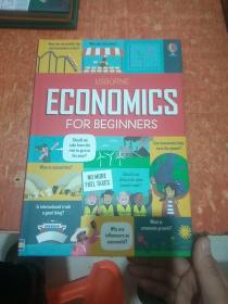USBORNE ECONOMICS FOR BEGINNERS英文原版