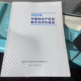 2022年中国知识产权发展状况评价报告