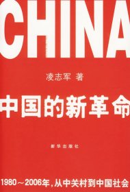 中国的新革命：1980-2006年，从中关村到中国社会