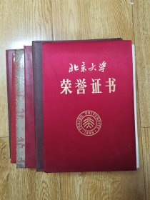 王志伟（1948-，著名经济学学者，北京大学经济学教授，经济学院党委副书记、外国经济学说研究中心主任，《经济科学》杂志编委，陈岱孙先生弟子、1978级北大经济系学子之一，获第四届“孙冶方经济科学奖”著作一等奖、第二届吴玉章奖著作一等奖、北京大学教学优秀奖(花旗银行二等奖)、北京大学优秀教学奖(教材一等奖)、北京大学中国工商银行经济学优秀学者奖）重要获奖证书、聘书共11本，有3本无封皮。