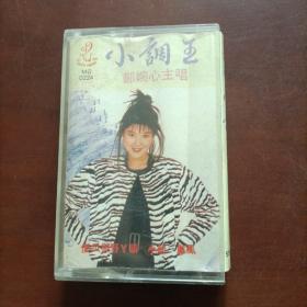 小调王 郑婉心主唱磁带