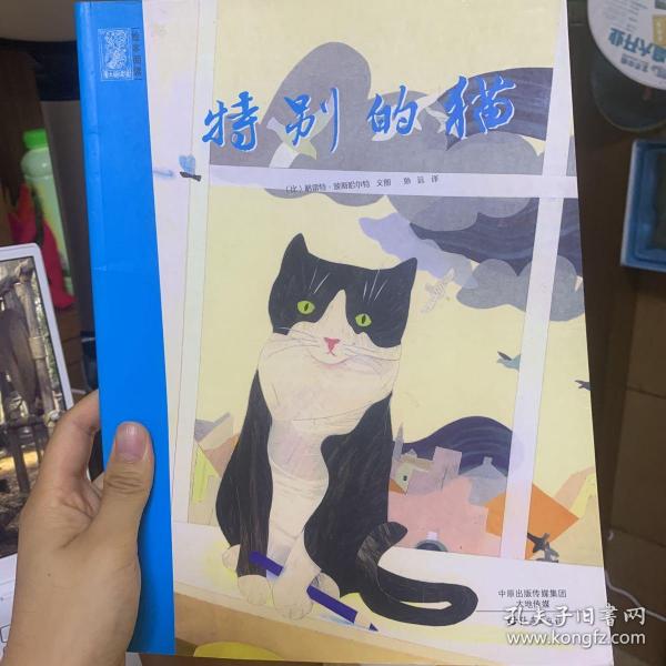 爱之阅读馆绘本阅读：特别的猫