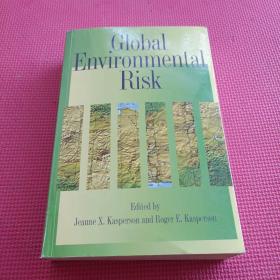 GLOBAL ENVIRONMENTAL RISK