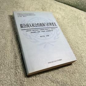 联合国人权公约机构与经典要义——人和刑事司法国际准则丛书