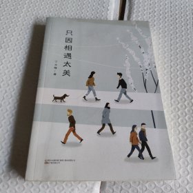 只因相遇太美（“暖心作家”丁立梅散文经典自选集, 中考语文阅读题热点作家）