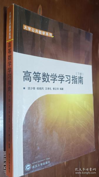 大学公共数学系列：高等数学学习指南（下册）