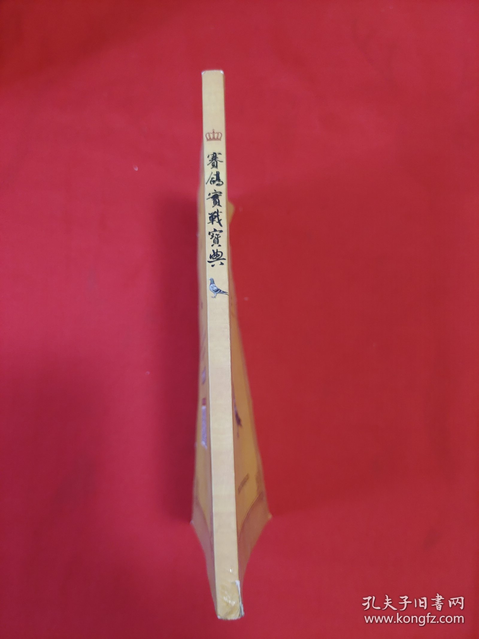 赛鸽实战宝典
