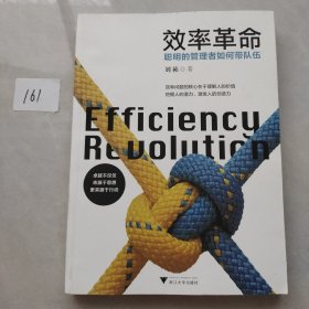 效率革命 聪明的管理者如何带队伍