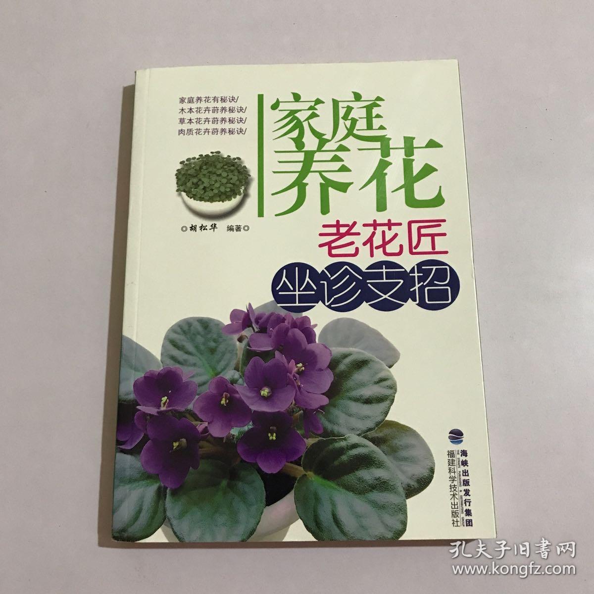 家庭养花：老花匠坐诊支招