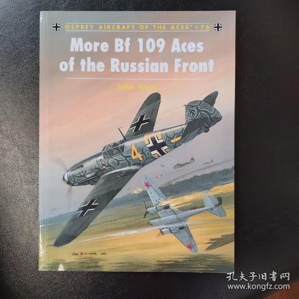 More Bf 109 Aces of the Russian Front