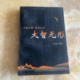 大智无形