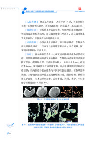 南昌大学第二附属医院神经外科病例精解