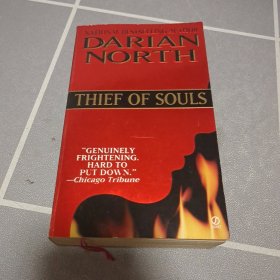 DARIAN NORTH THIEF OF SOULS