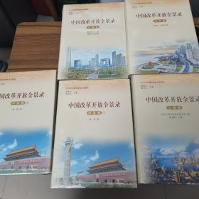 中国改革开放全景录（全32卷）中央卷上下2册+地方卷31册 共33本