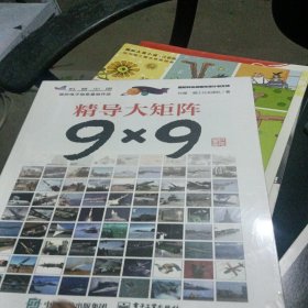 精导大矩阵9×9