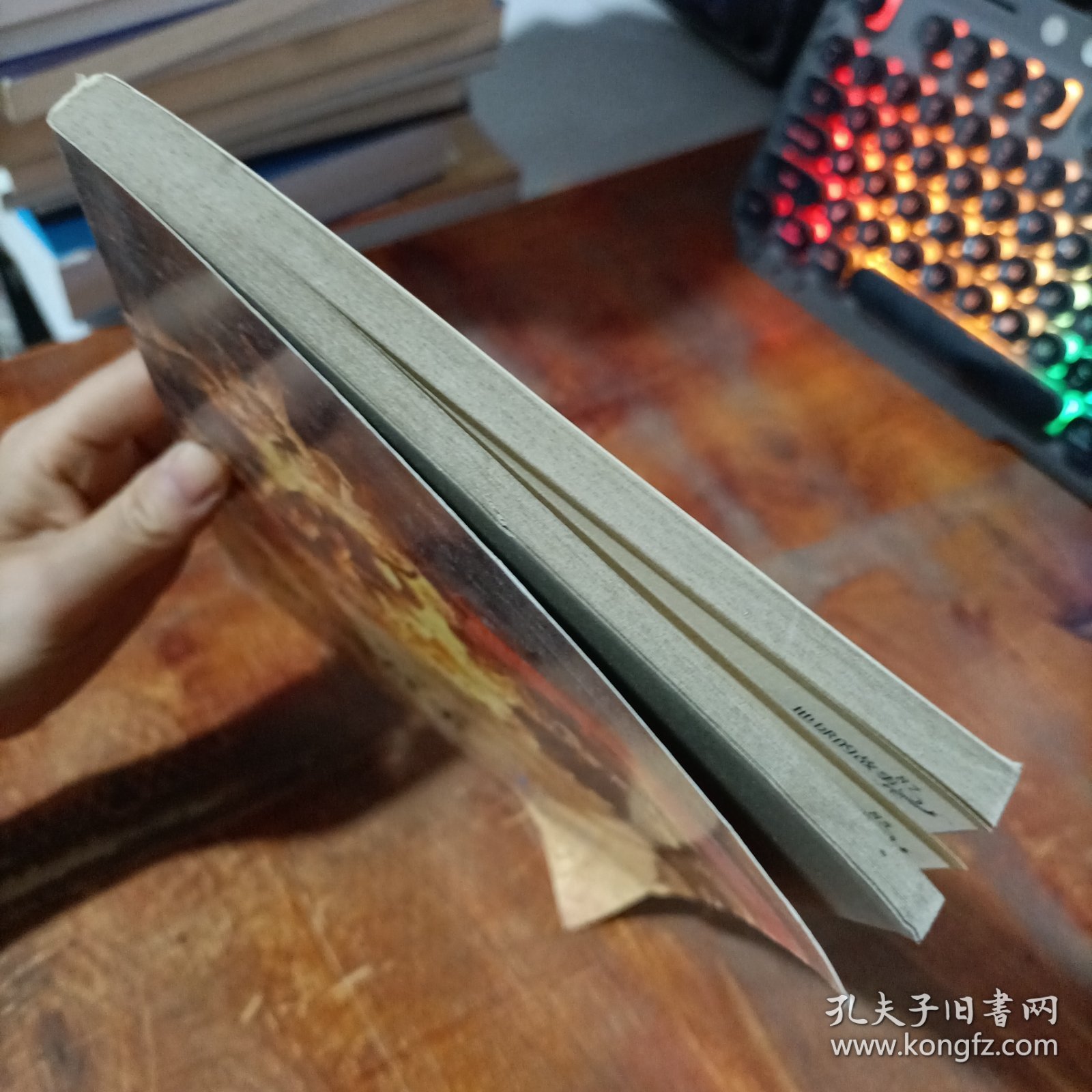 点击查看原图 房龙传世作品:地球的故事.