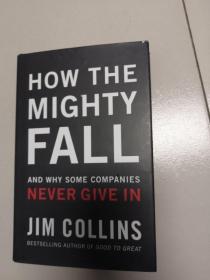 How The Mighty Fall：And Why Some Companies Never Give In