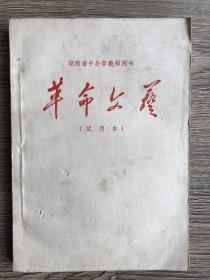 湖南省中小学教师用书 革命文艺 （试用本）