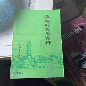 宁都县文史资料 第四辑