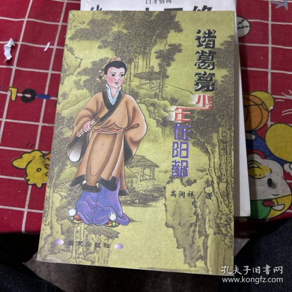 诸葛亮少年在阳都