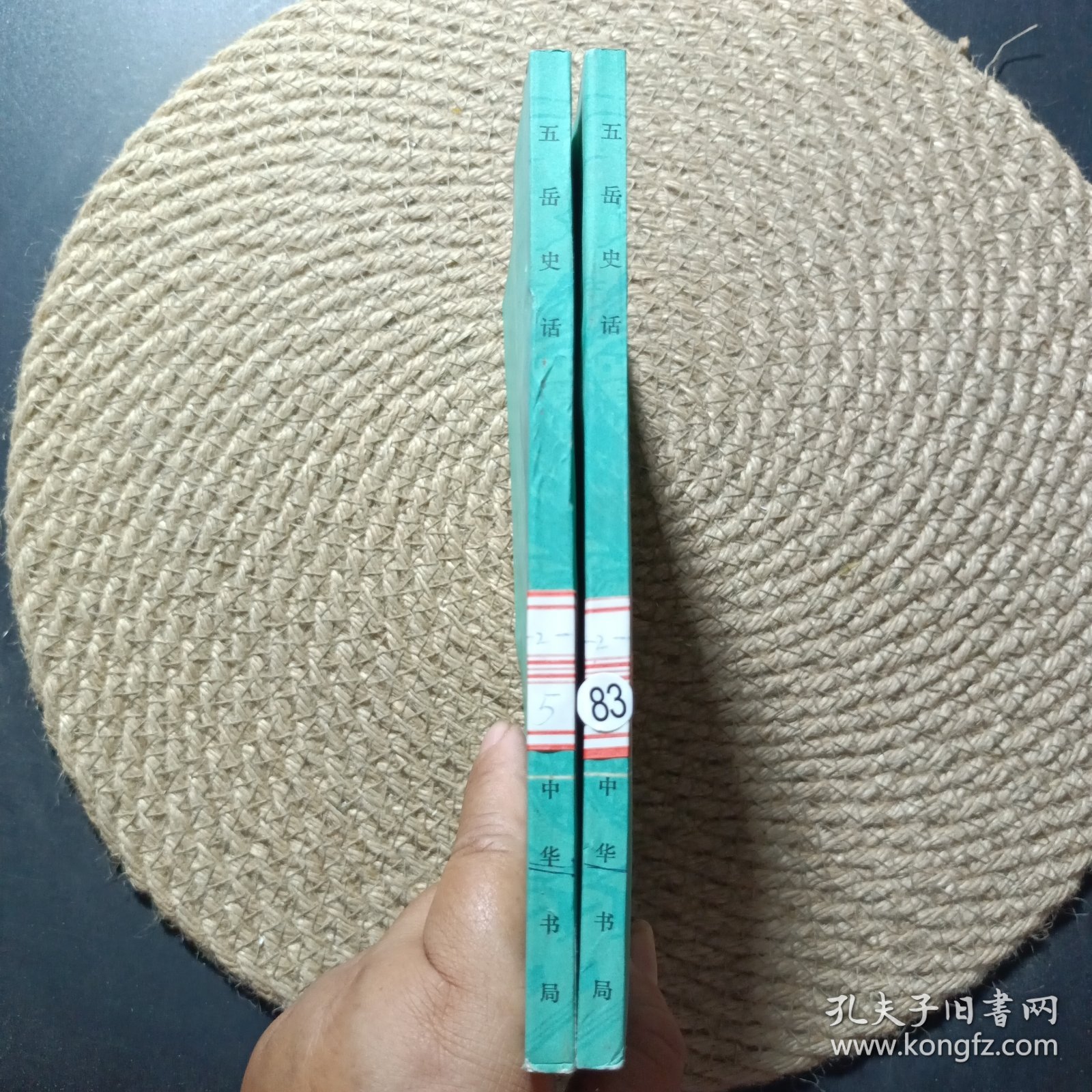 中国历史小丛书：五岳史话