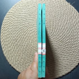 中国历史小丛书:五岳史话