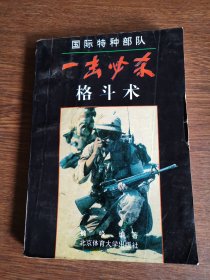 一击必杀格斗术