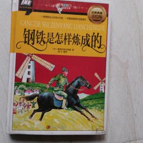 钢铁是怎样炼成的(一段钢铁战士的成长历程，一本歌颂理想的经典著作)