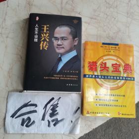王兴传