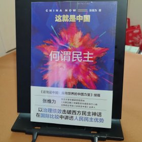 这就是中国：何谓民主