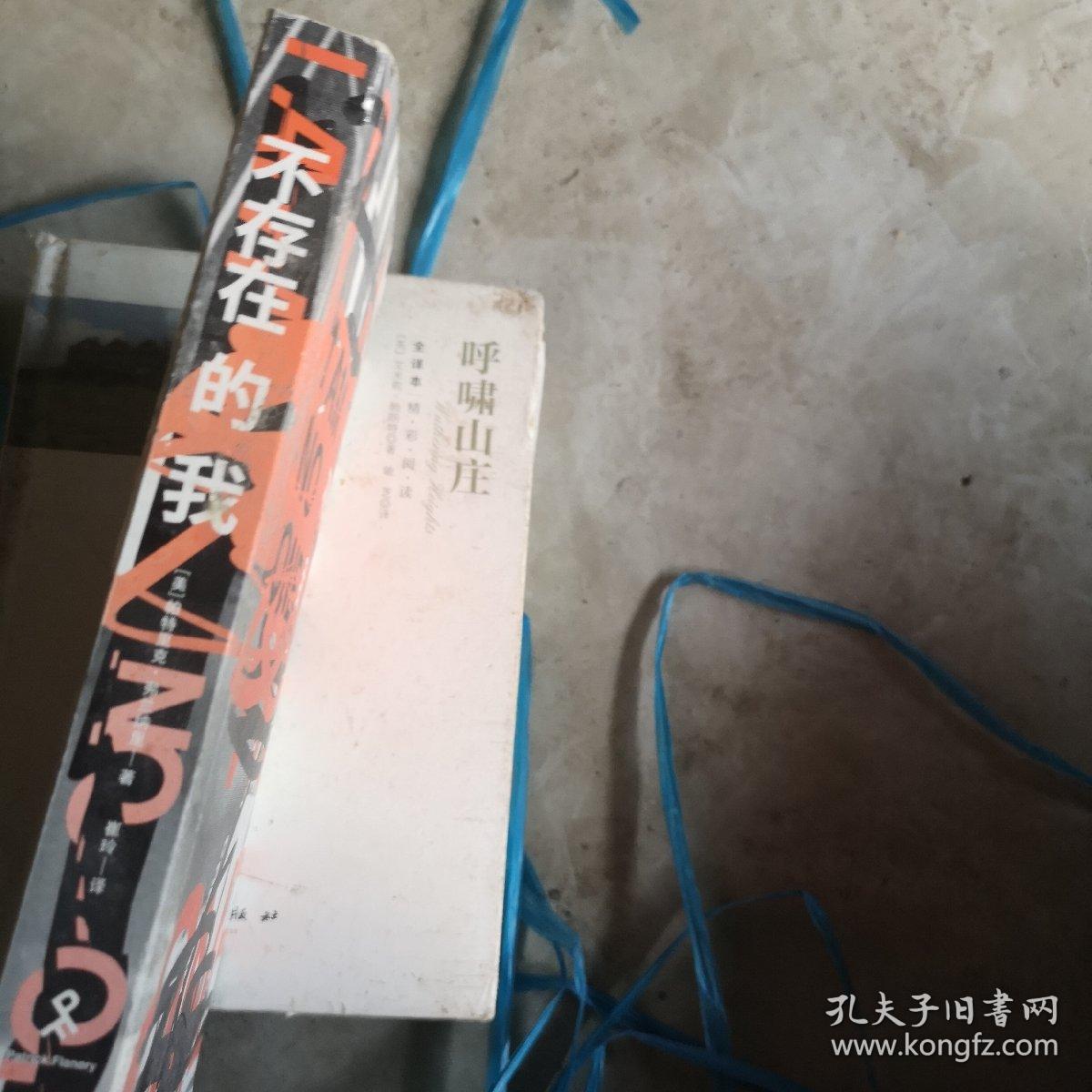 不存在的我（美国全国公共电台年度好书）