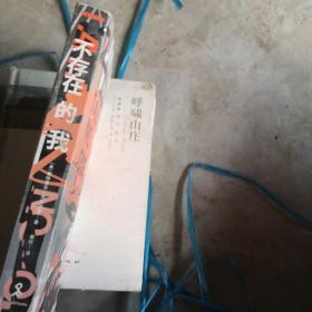 不存在的我（美国全国公共电台年度好书）